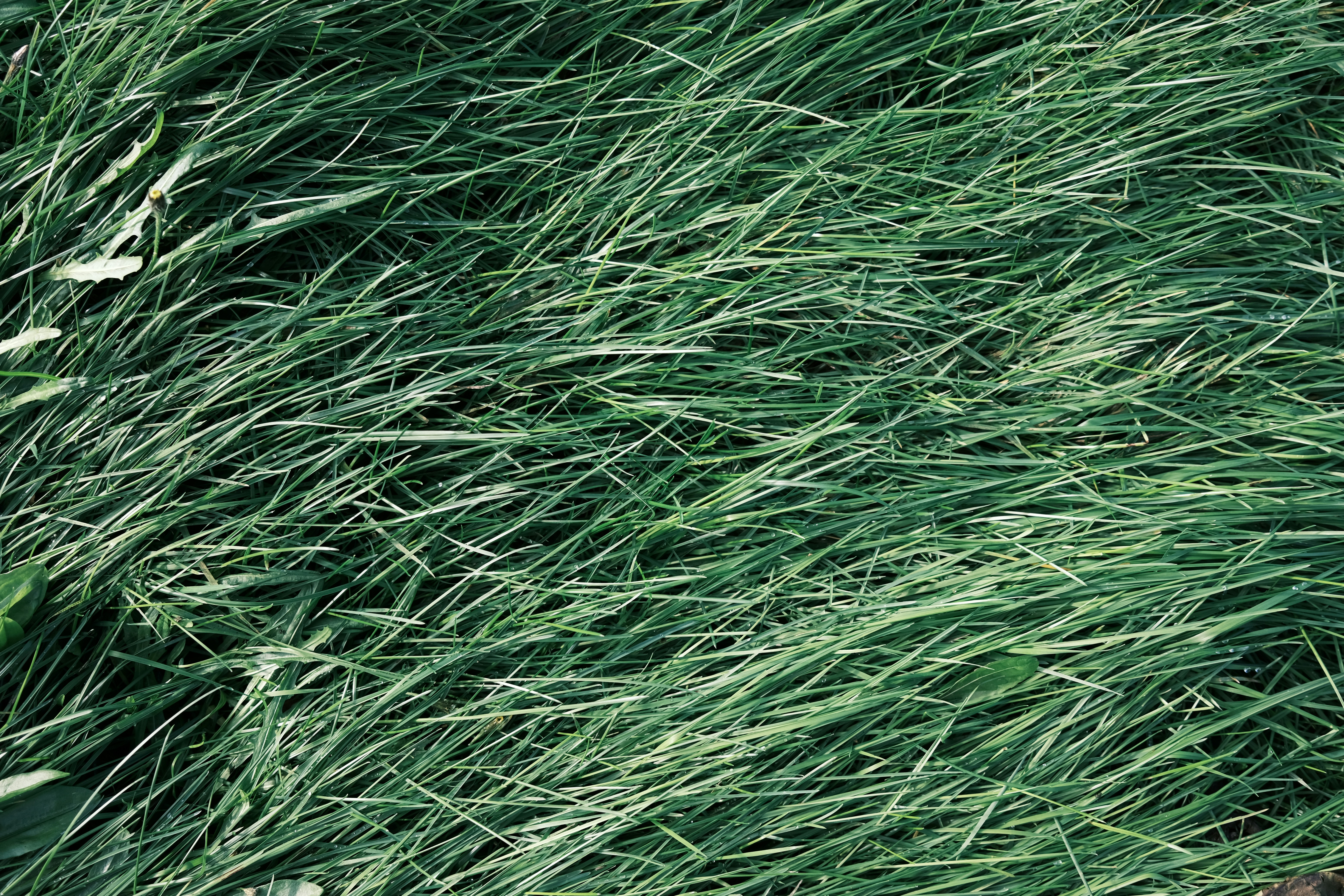 Photo by stereosonya