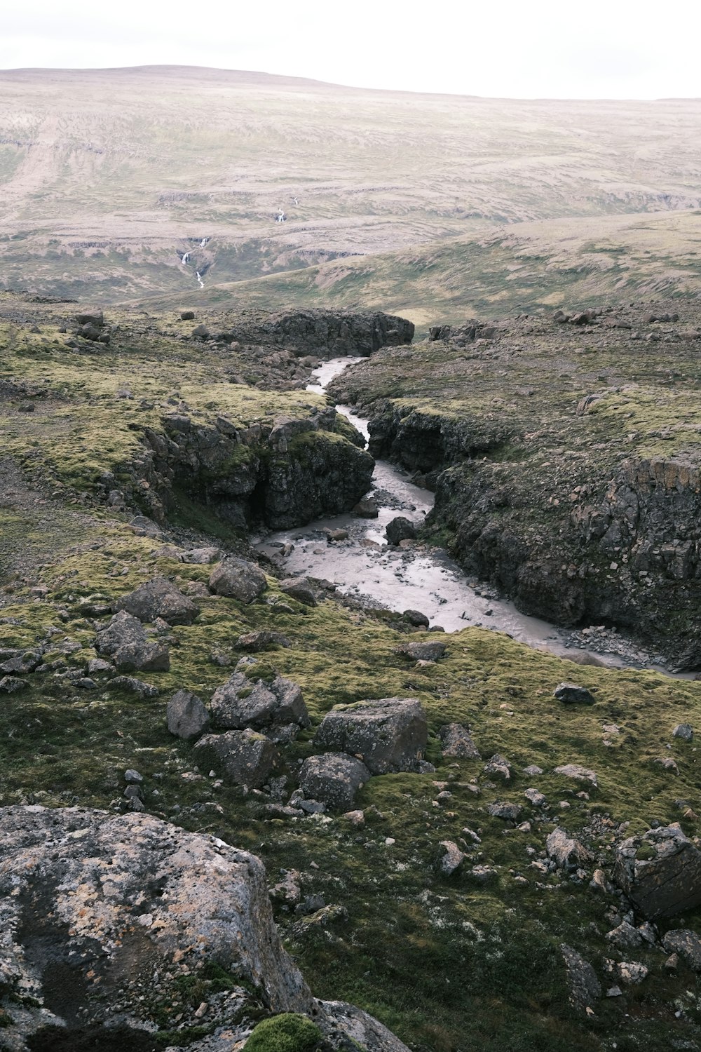 a stream running through a lush green valley