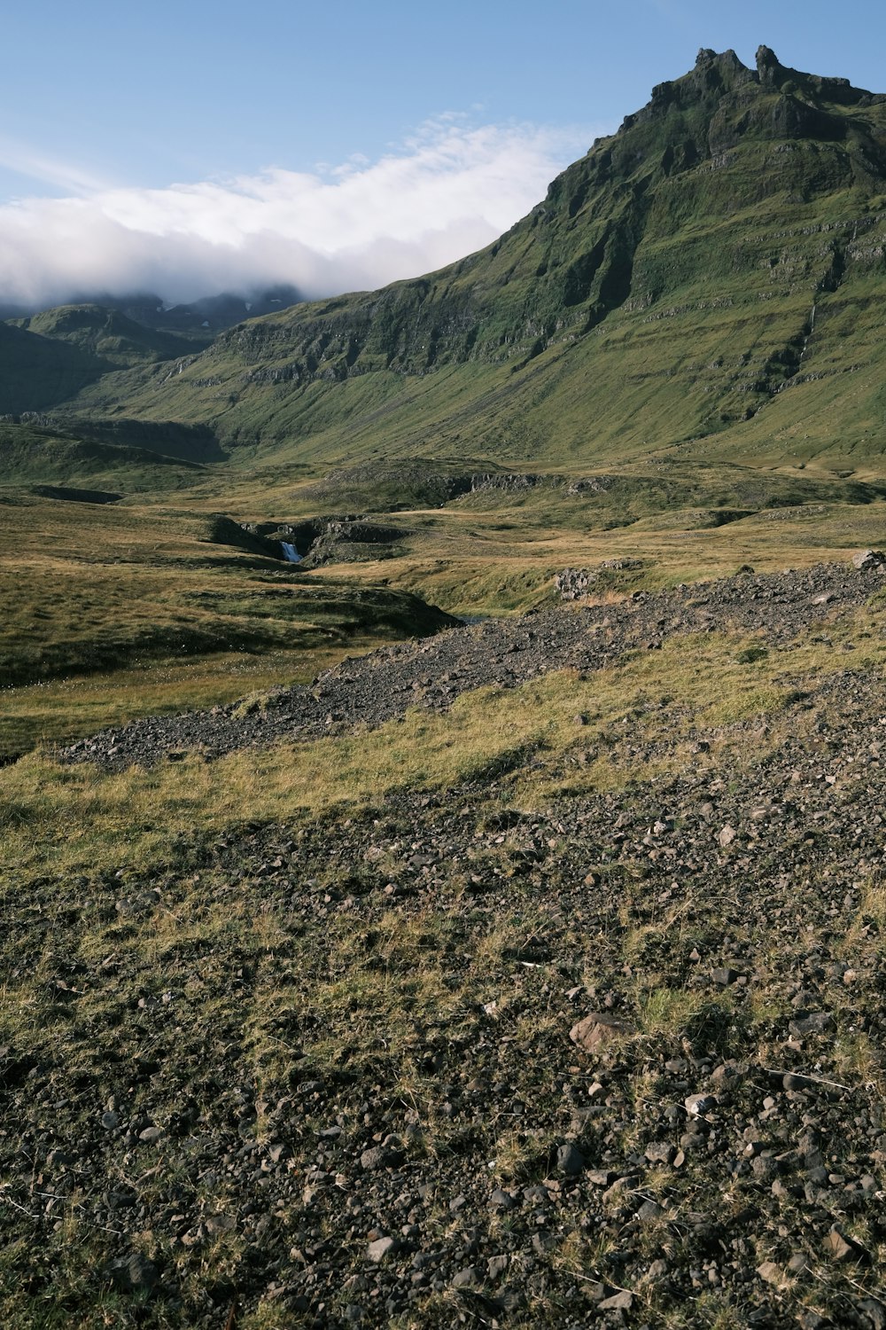 a grassy field with a mountain in the background