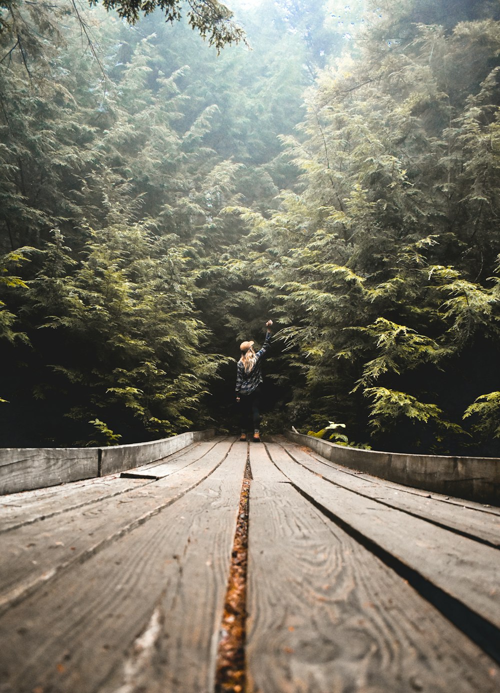 a person standing on a wooden bridge in the woods