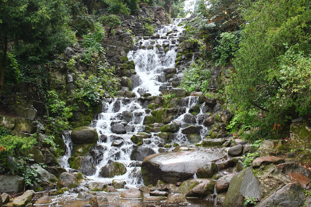 a small waterfall in the middle of a forest