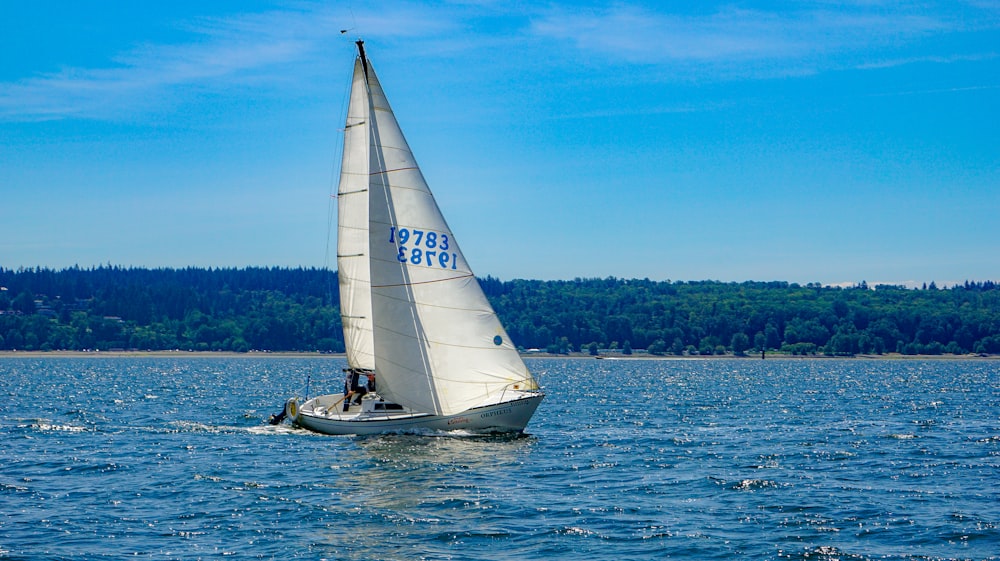 a sailboat with a person on it in the water