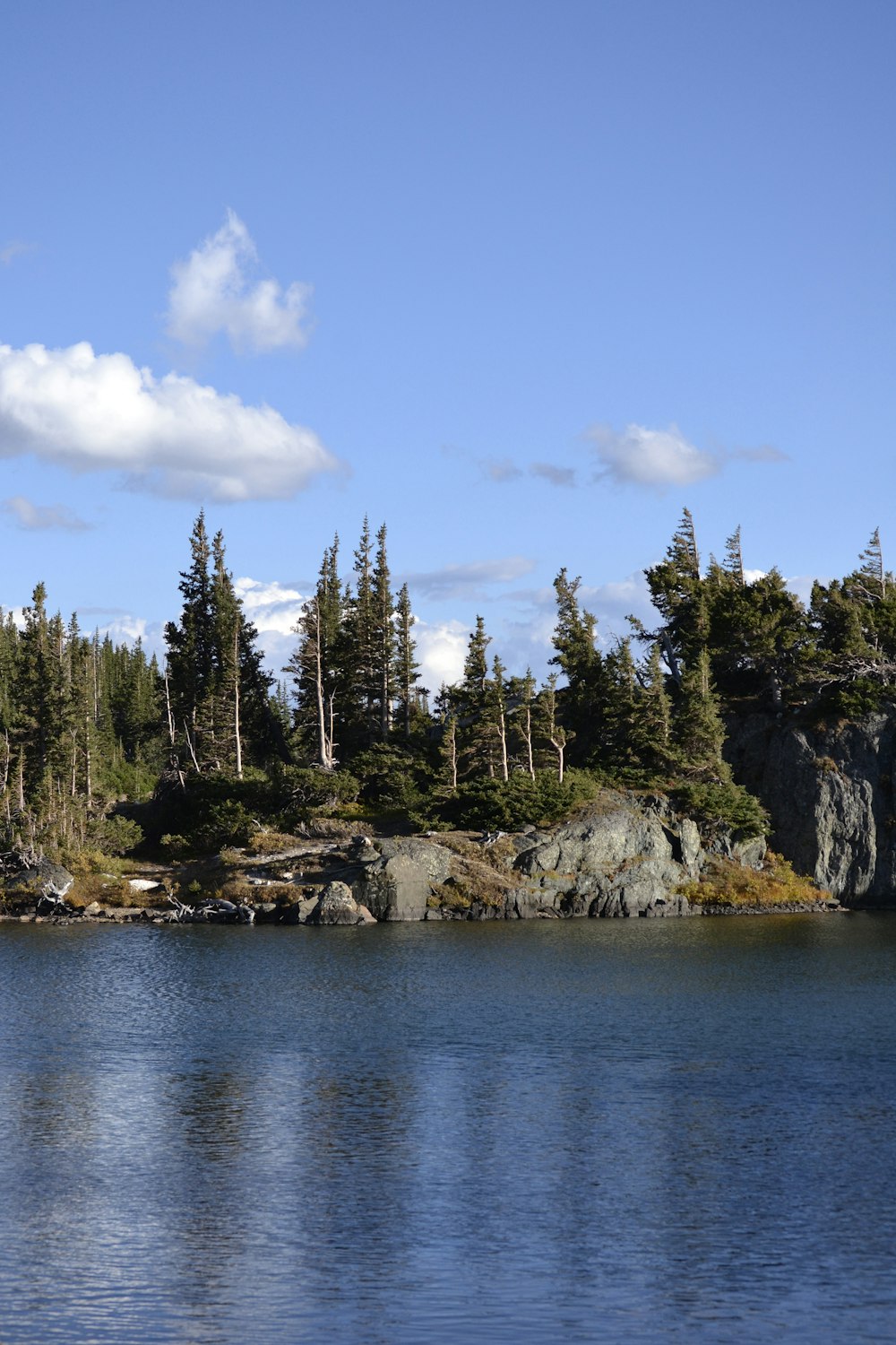 a body of water surrounded by trees and rocks