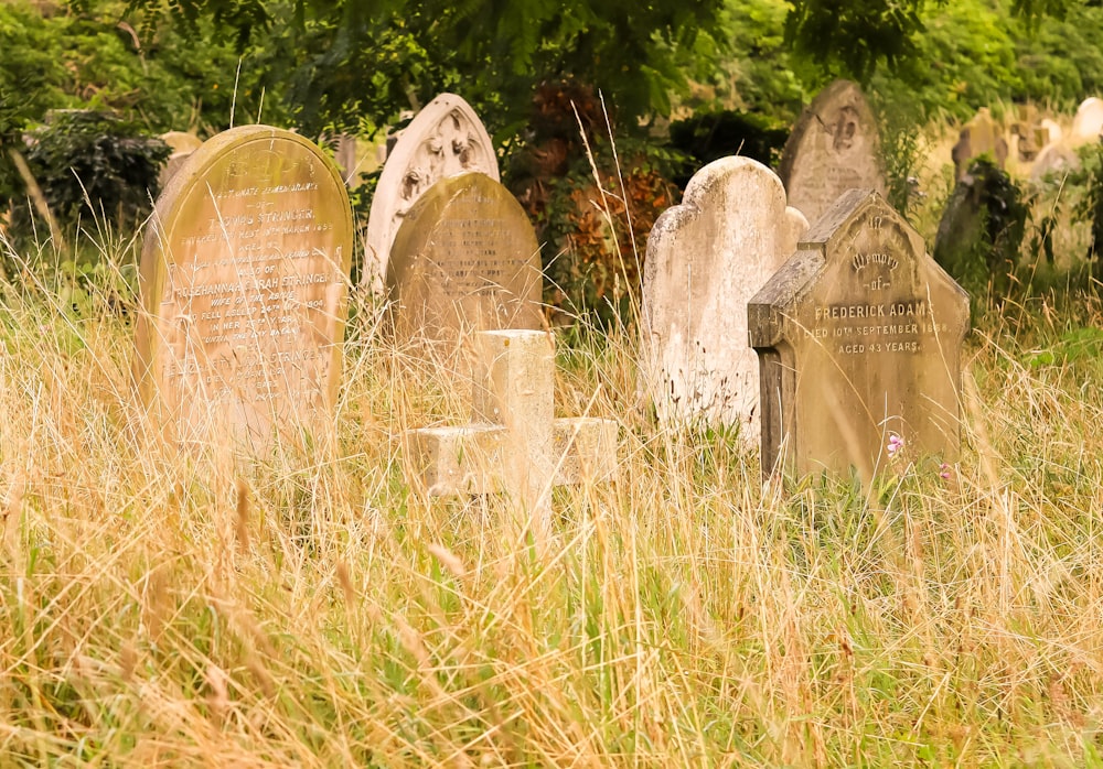 a bunch of headstones in a field of tall grass