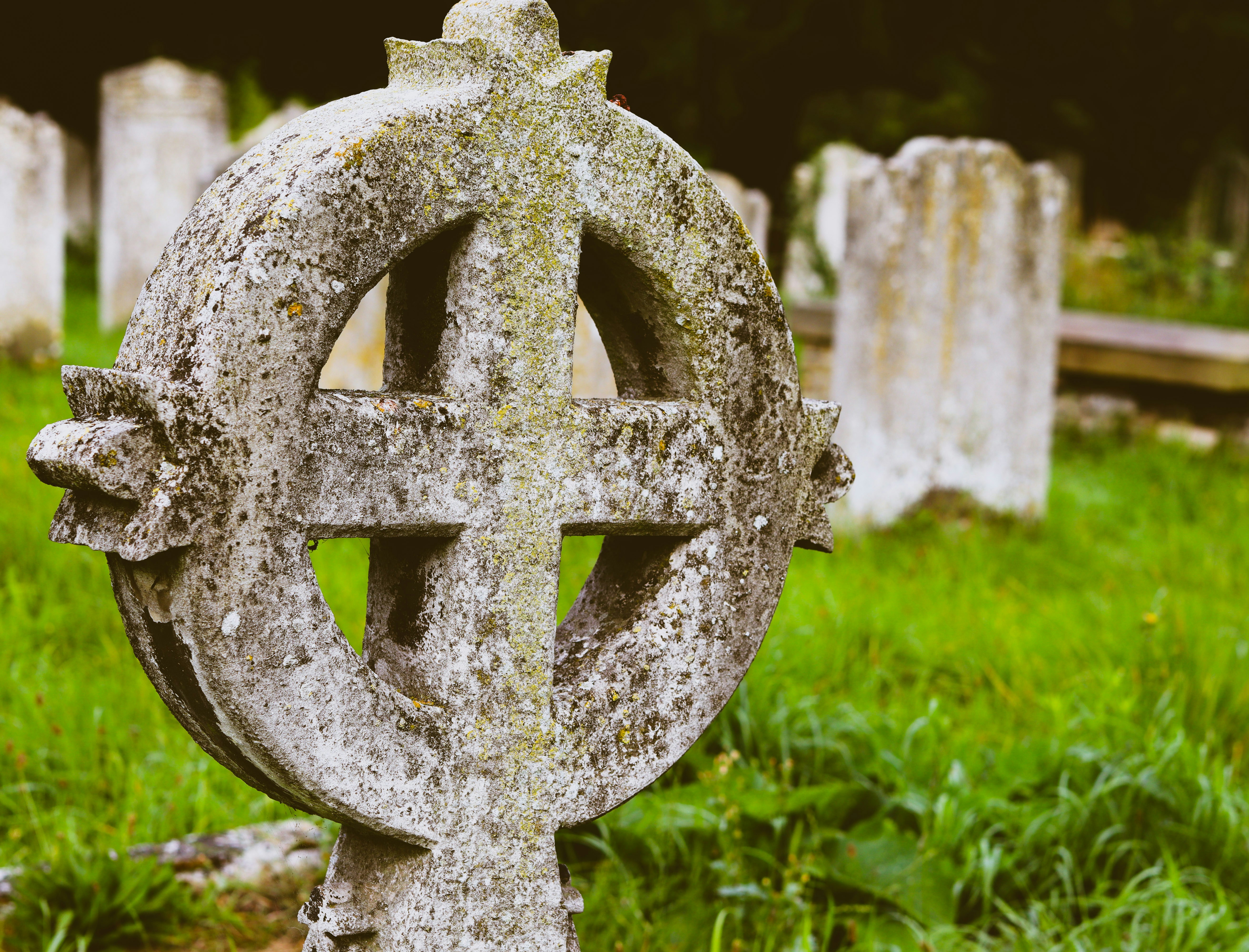 Photo by gabriellenca