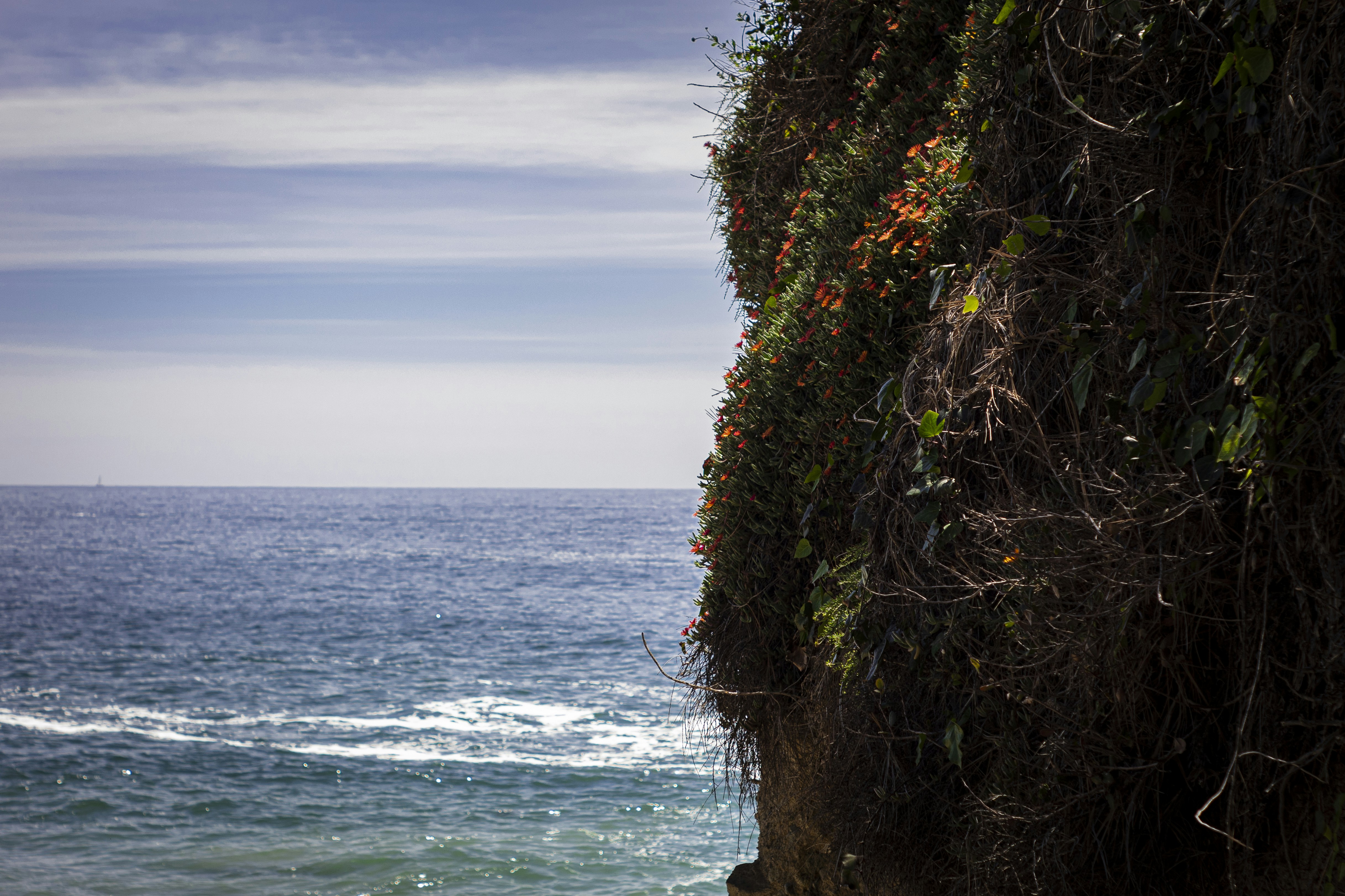 a man standing on a cliff overlooking the ocean