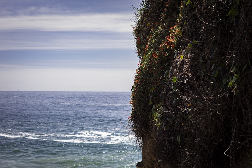 a man standing on a cliff overlooking the ocean