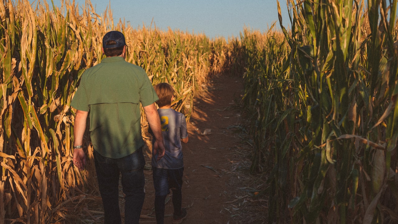 Fall Fun and Frights: A Guide to Pumpkin Patches, Corn Mazes, and Haunted Houses 