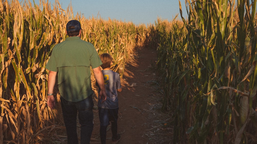 a man and a boy walking through a corn field