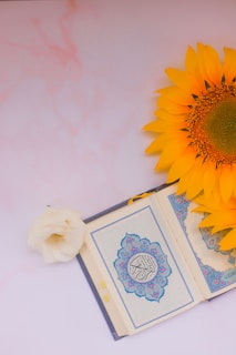 An open book surrounded by blooming flowers, representing the blossoming of creativity.
