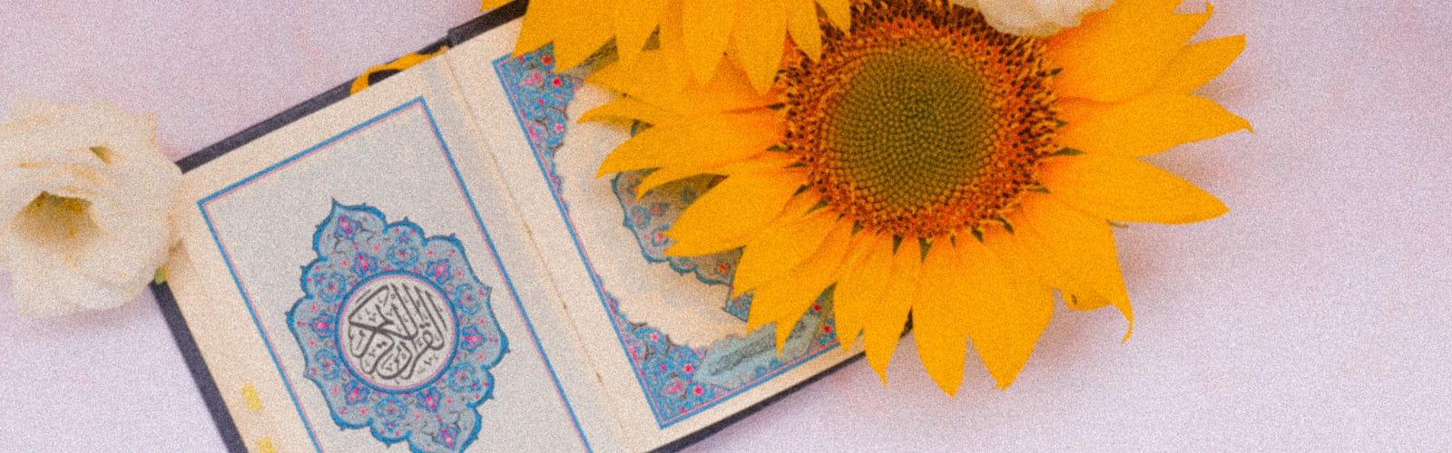 Quran Wallpapers | 24 best free quran, flower, moslem and islam photos