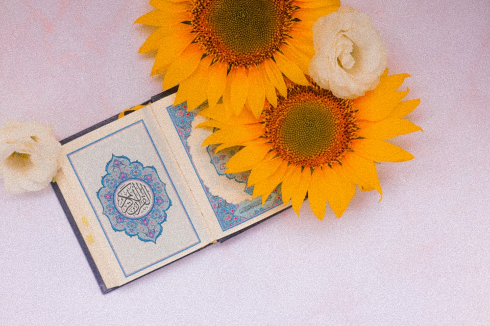 Quran Wallpapers | 24 best free quran, flower, moslem and islam photos on  Unsplash