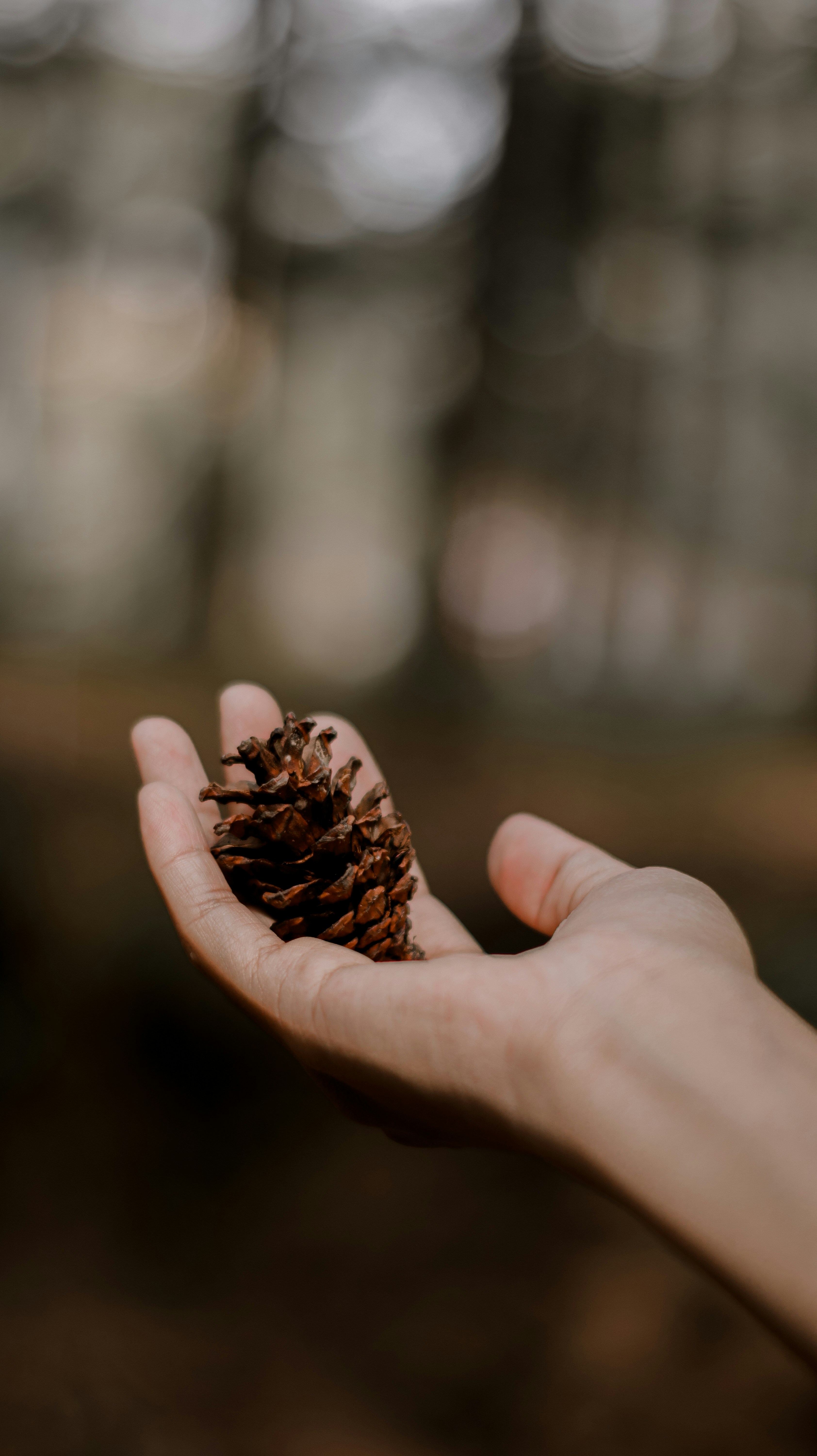 Photo by rahadiansyah