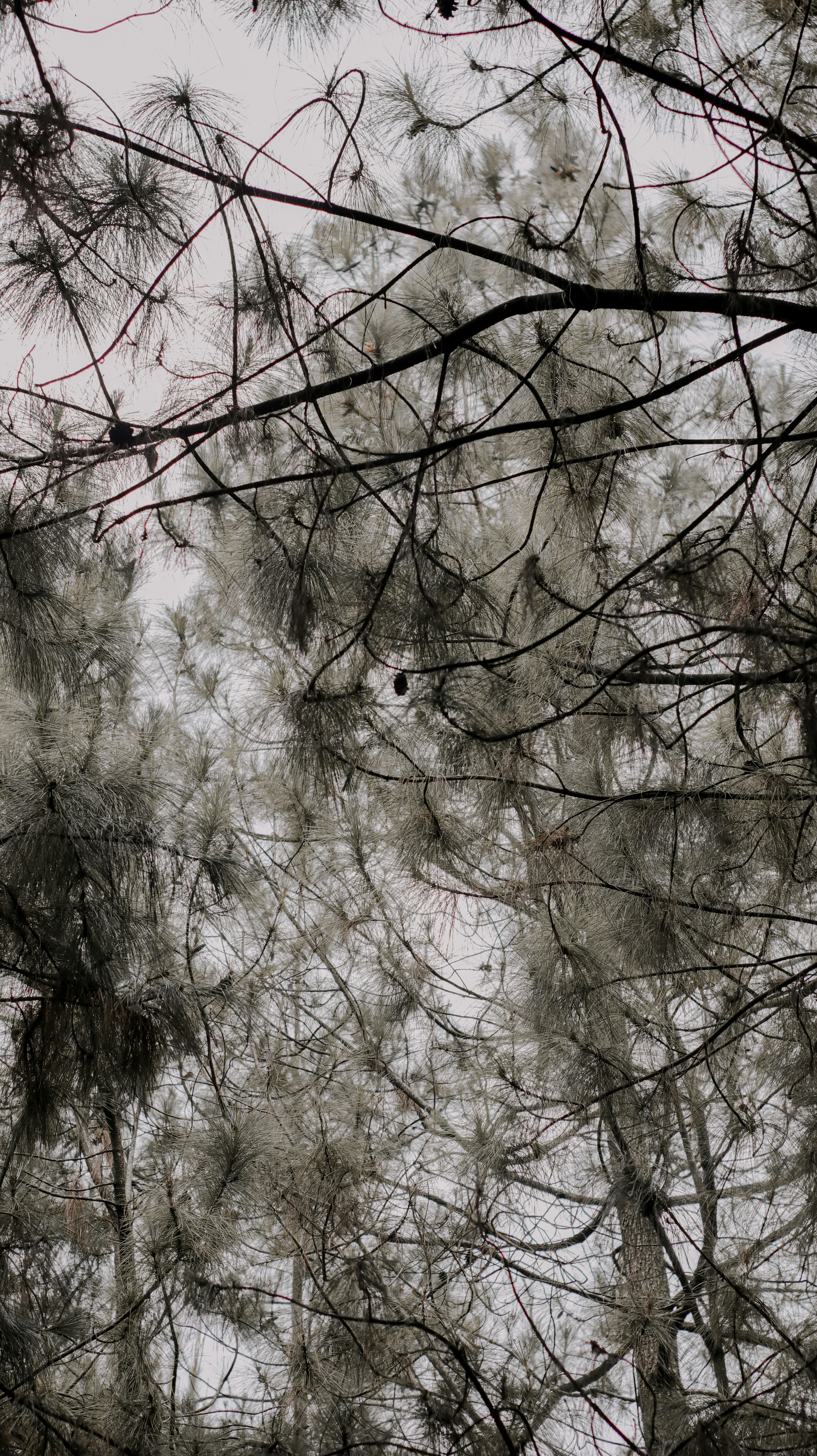 Photo by rahadiansyah