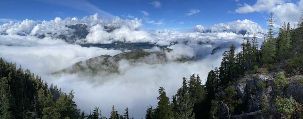a view of the clouds and trees from the top of a mountain