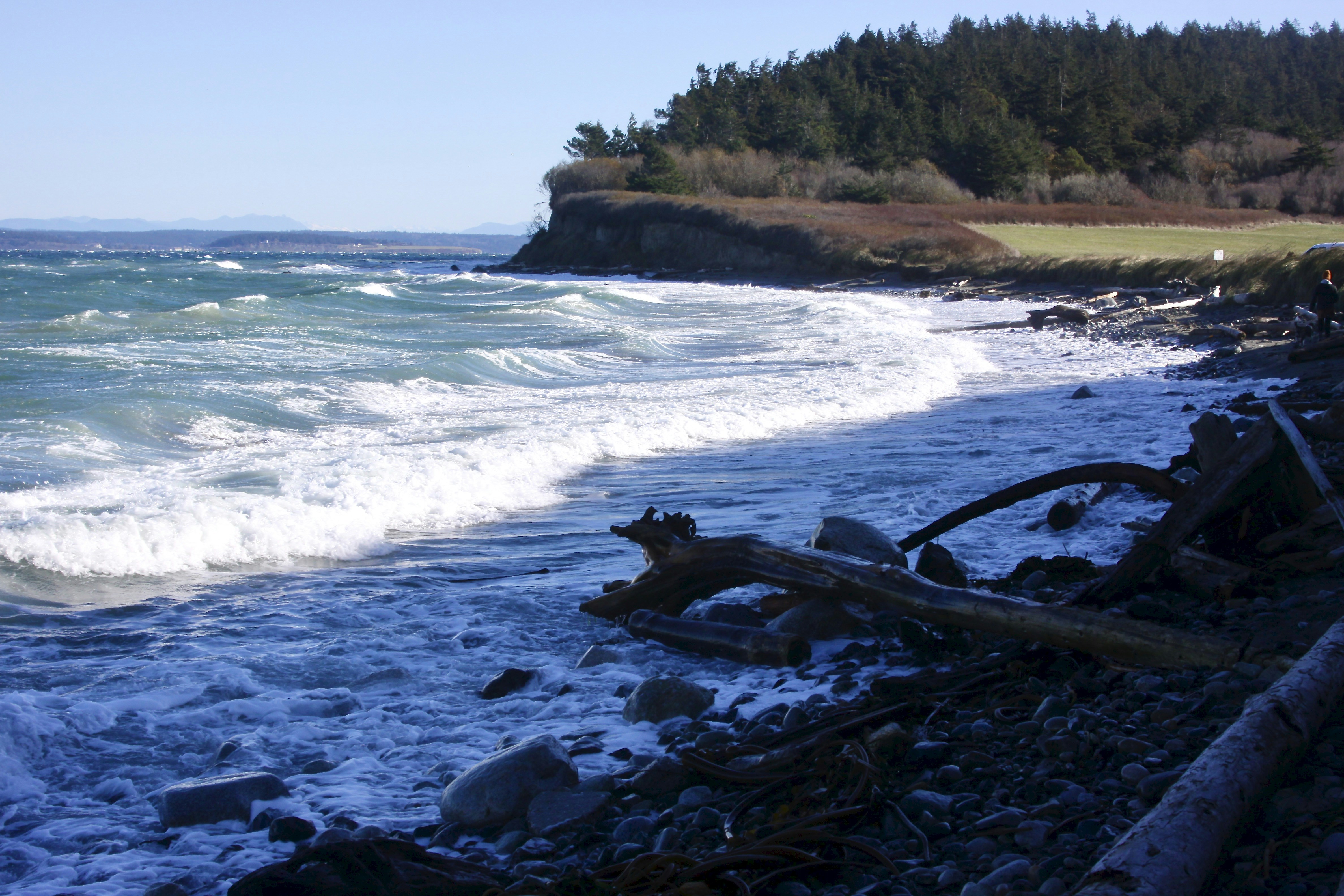 Photo by lisa_lindsay