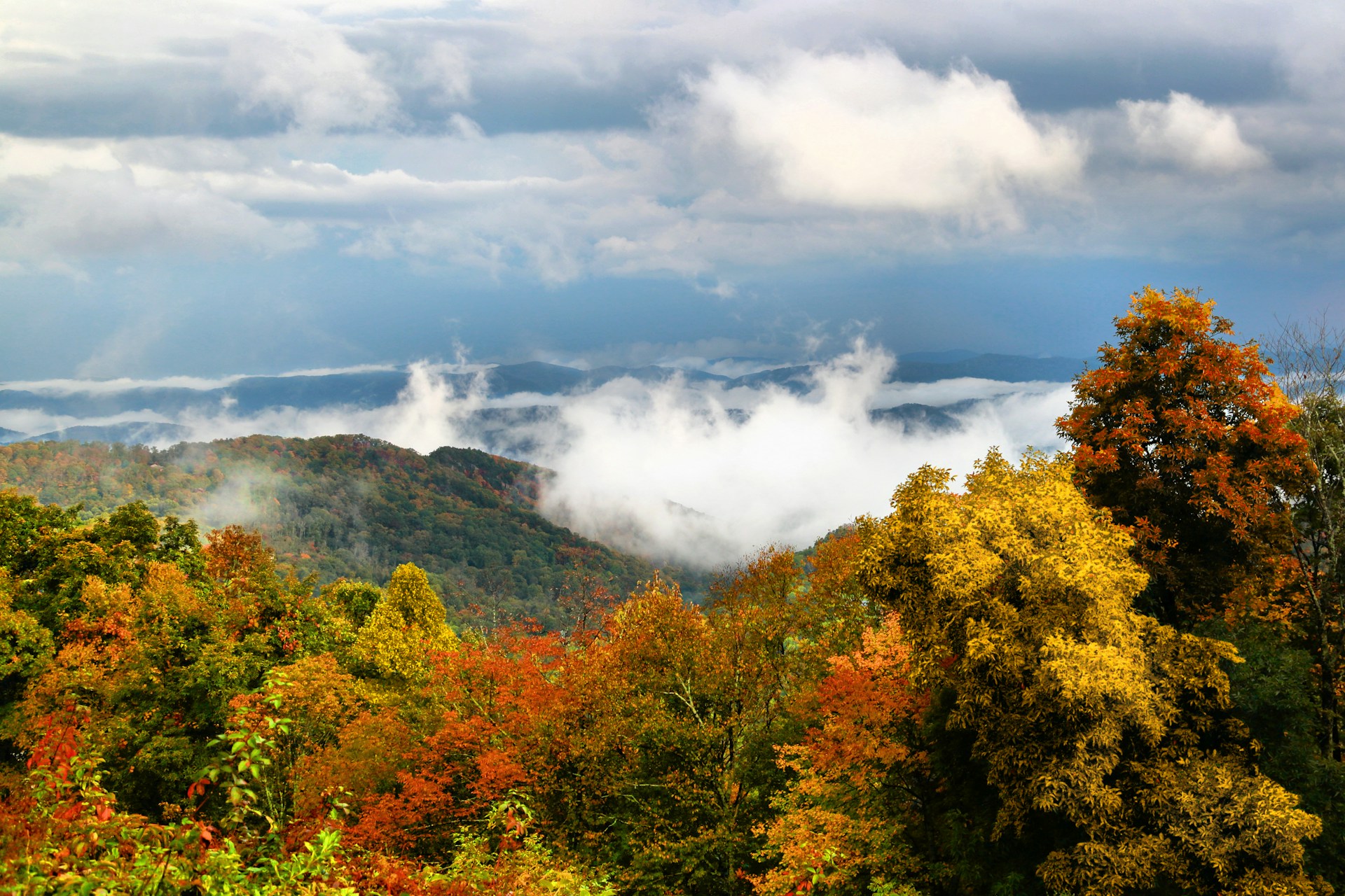 a view of a forest with clouds in the sky