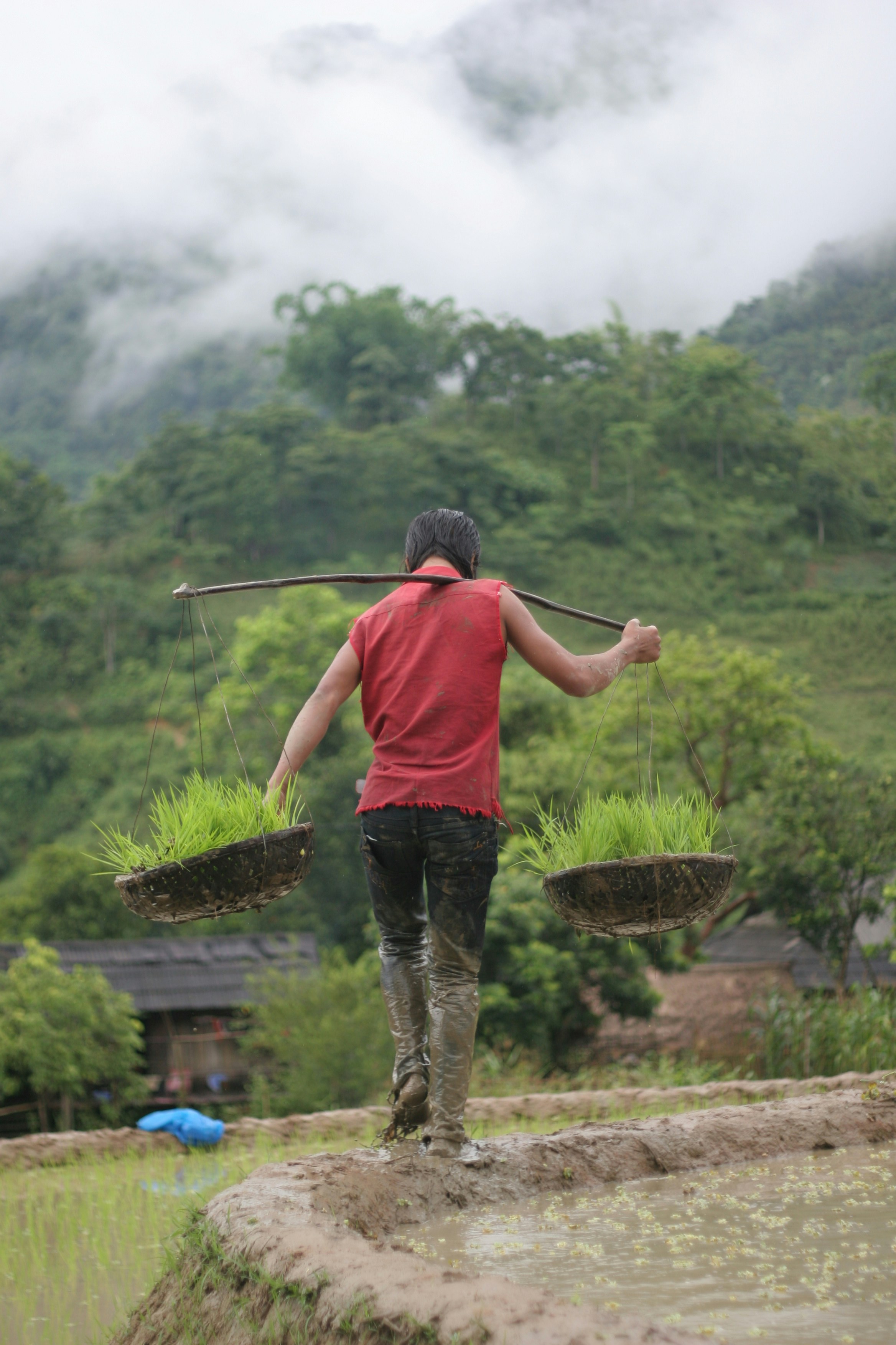 Mid-Range Comfort (1,000,000-2,500,000 VND/$40-100 per day)