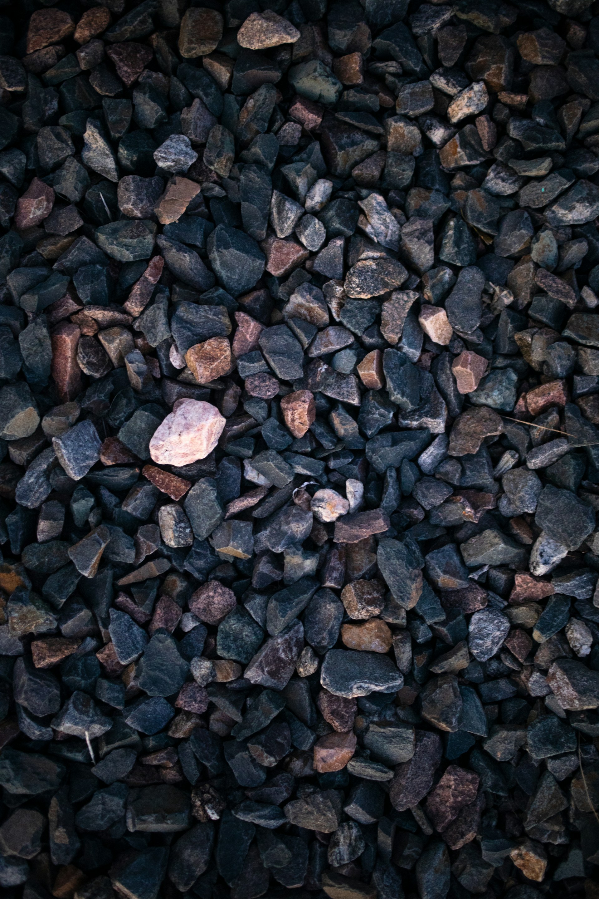 a bunch of rocks that are laying on the ground