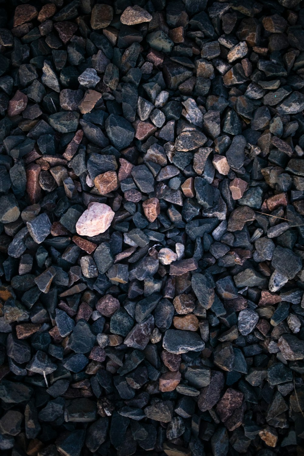 a bunch of rocks that are laying on the ground