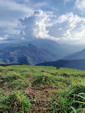 A scenic view of the Collsacabra landscape with rolling hills and lush greenery.