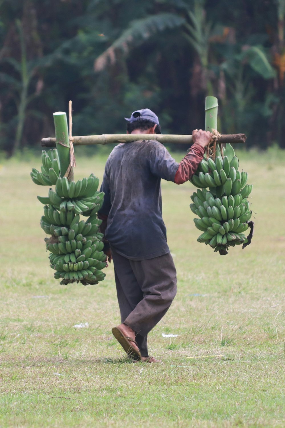 um homem carregando dois cachos de bananas nas costas