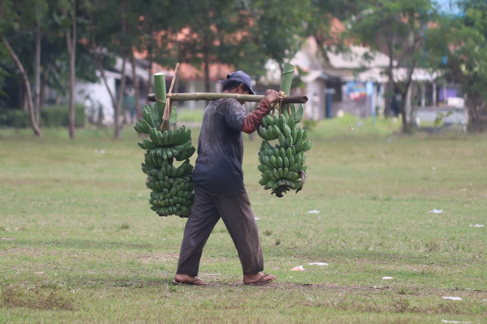 um homem carregando um cacho de bananas em uma vara