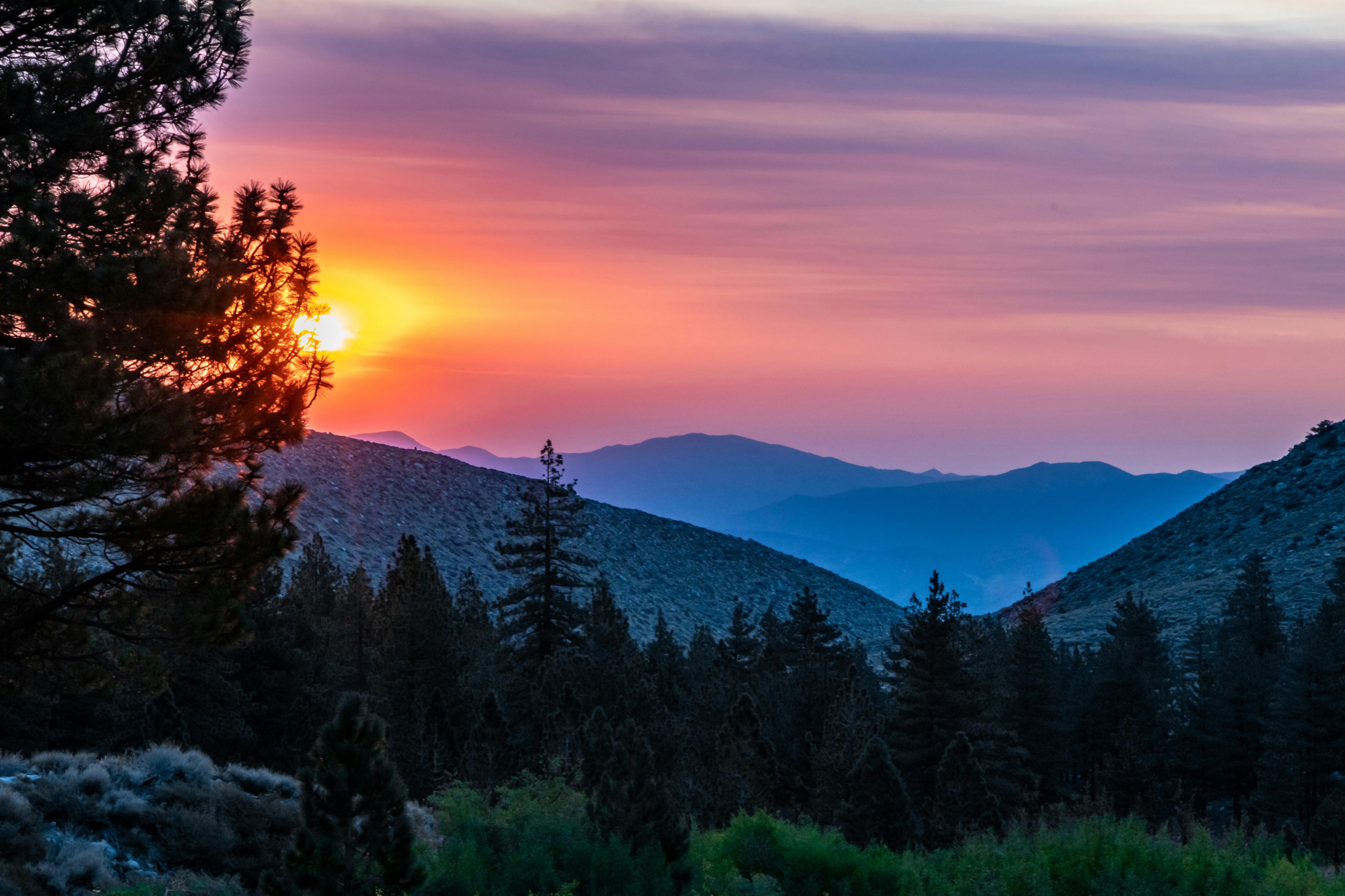 Photo by rs2photography