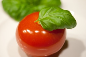 Fresh Tomatoes
