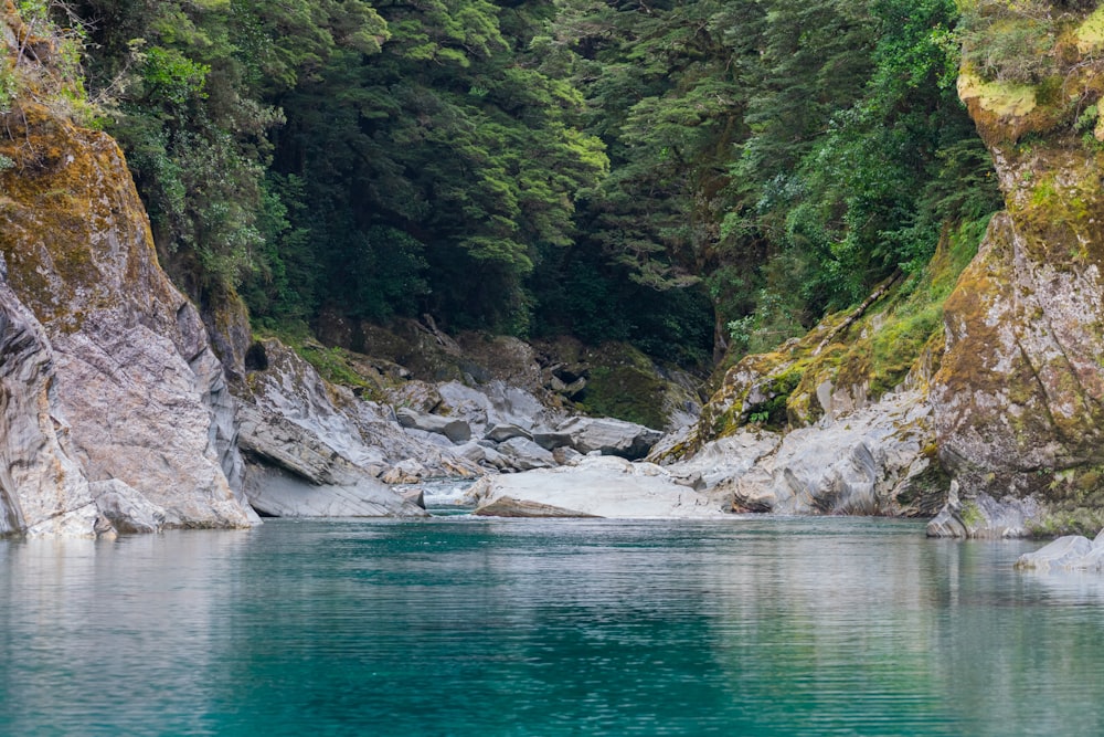 a body of water surrounded by trees and rocks