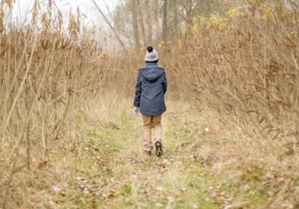a person walking through a field of tall grass