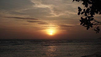 A beautiful sunset over the ocean with a whale silhouette.