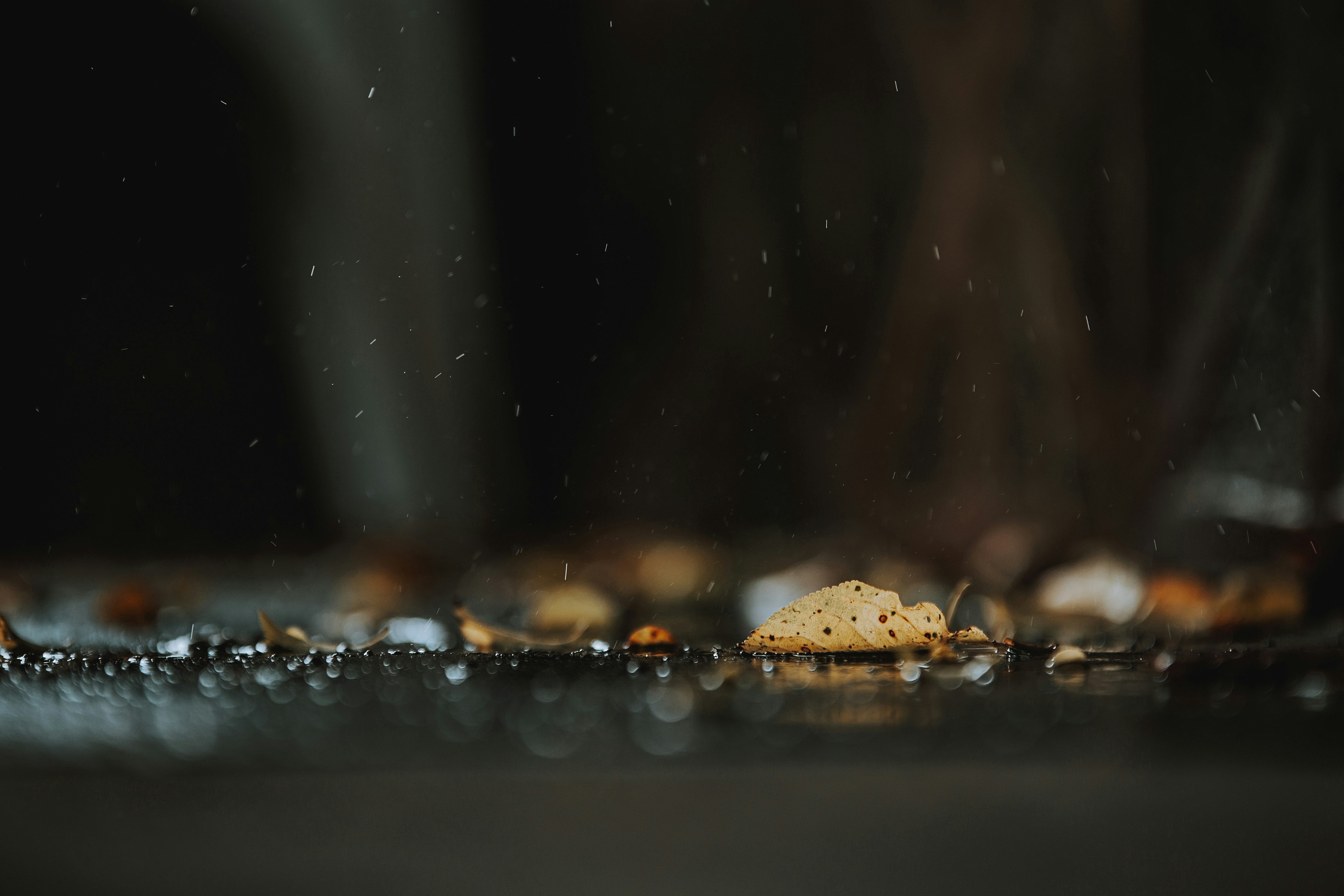 Photo by sylvester_s