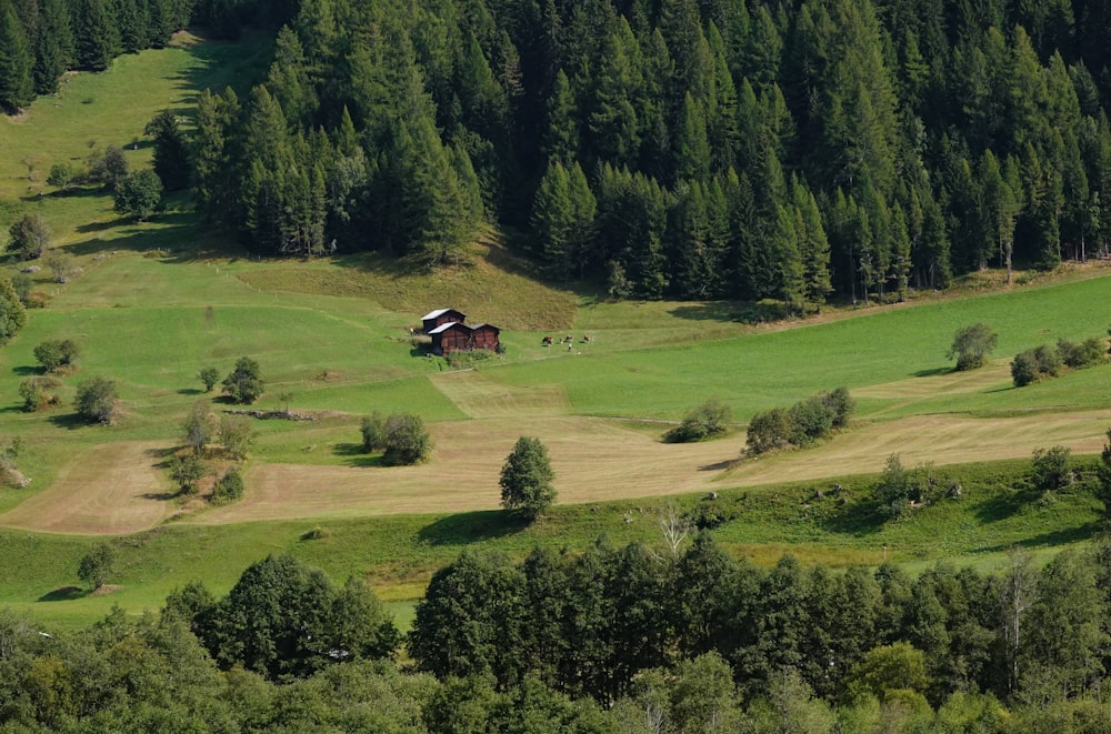 a green field with a house in the middle of it