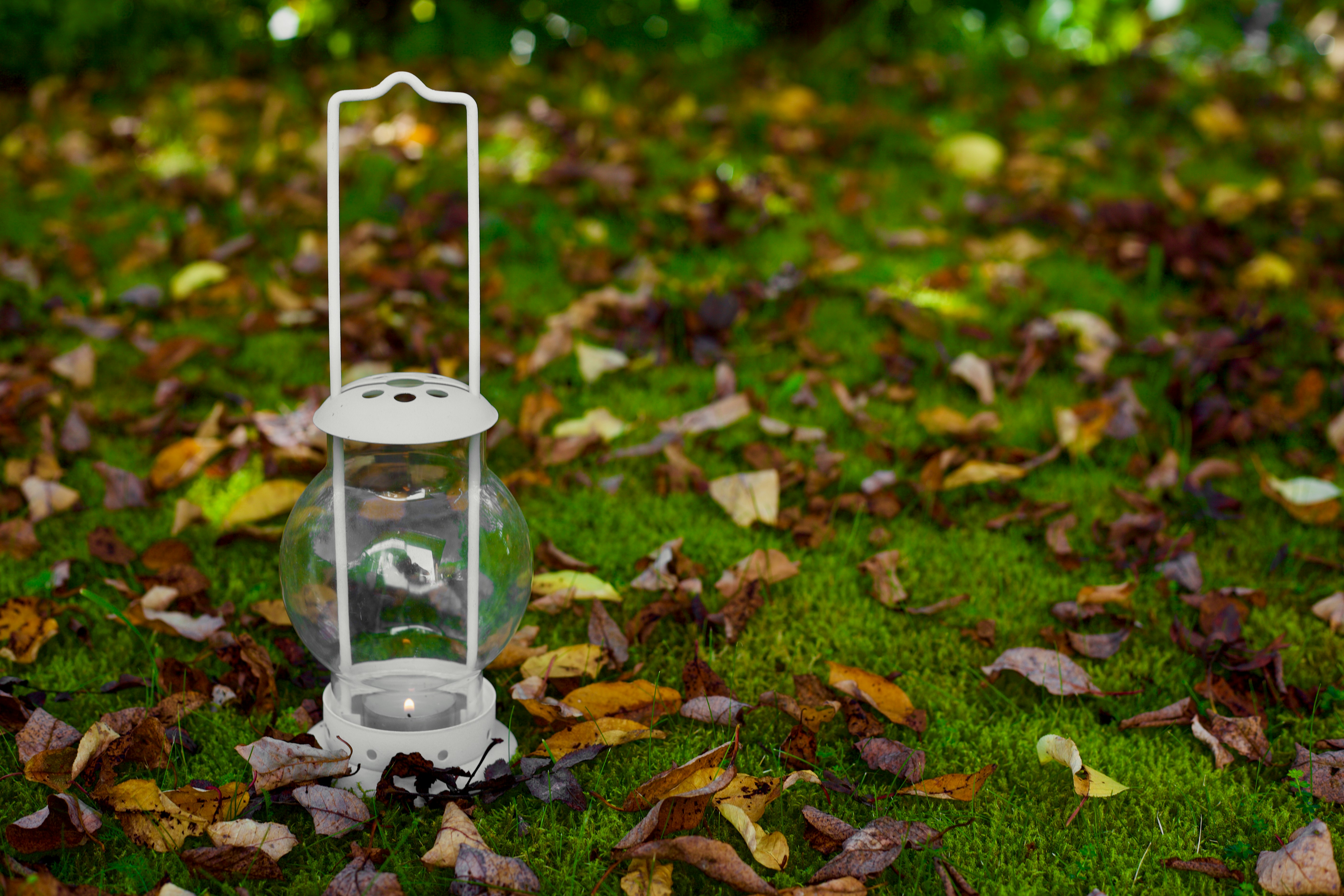 Eine weiße Laterne sitzt auf einem üppigen grünen Feld