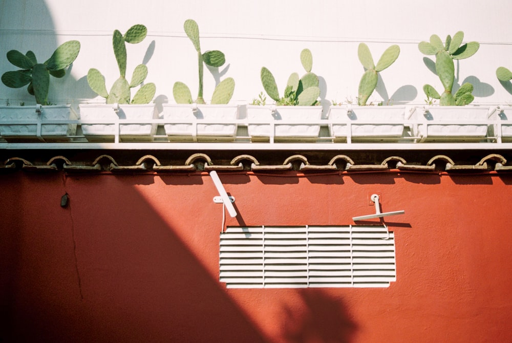 a red wall with a window and a planter on top of it