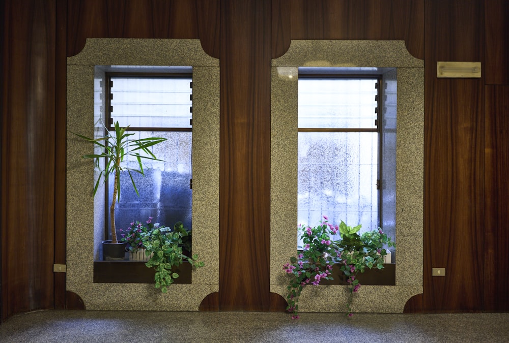 ein paar Fenster mit Pflanzen darin