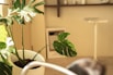 a potted plant sitting on top of a counter