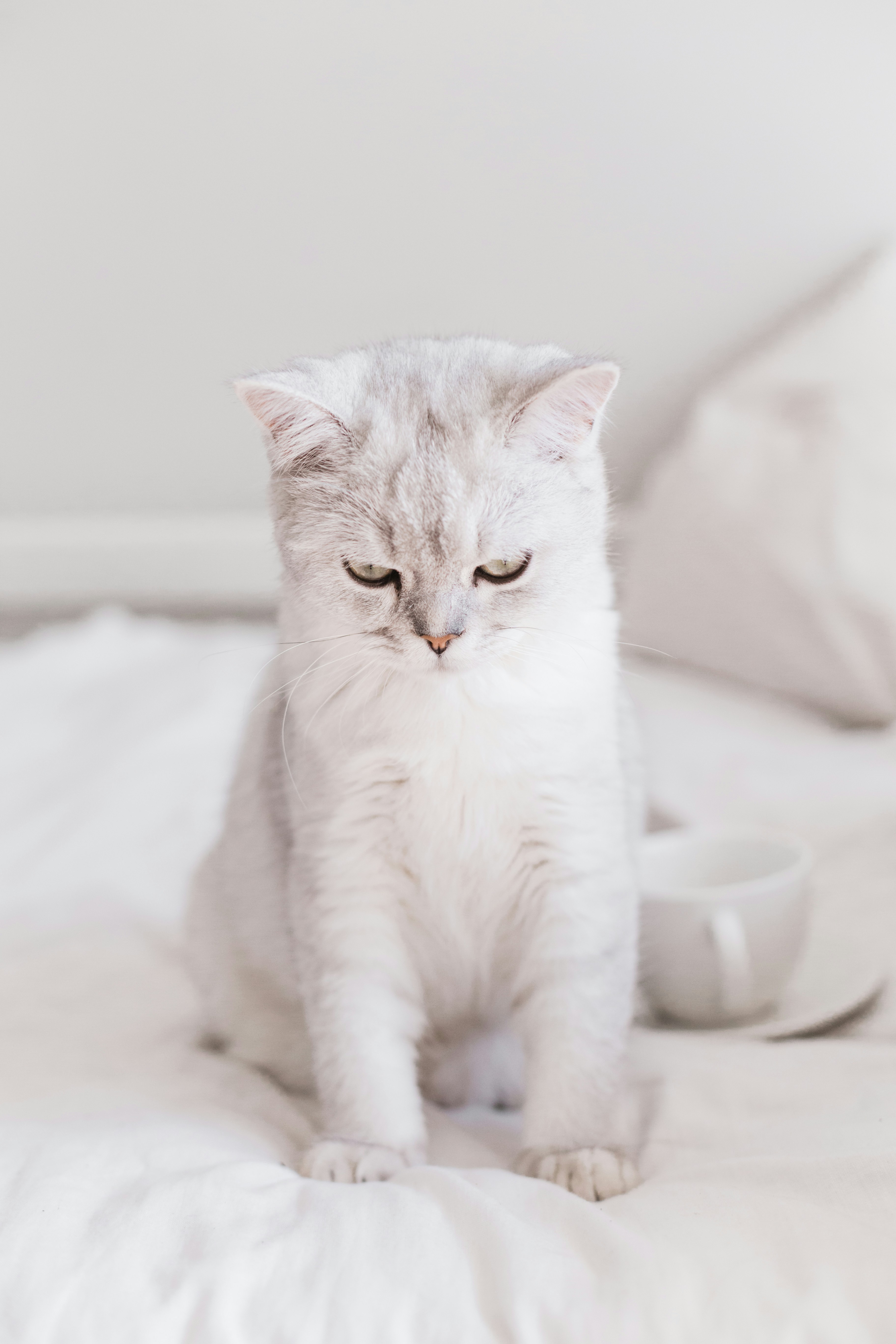 Photo by sincerelymedia