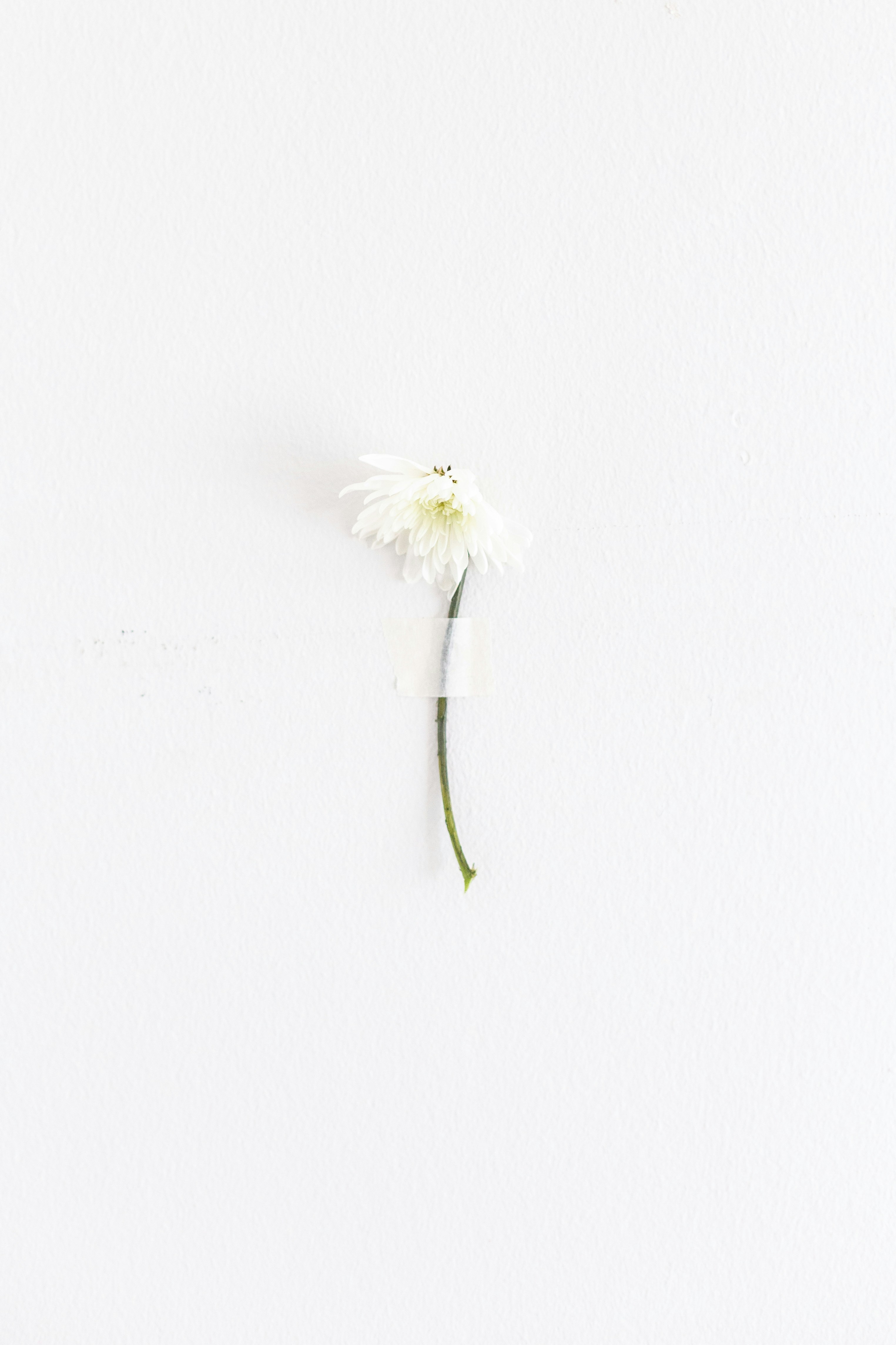 Photo by sincerelymedia