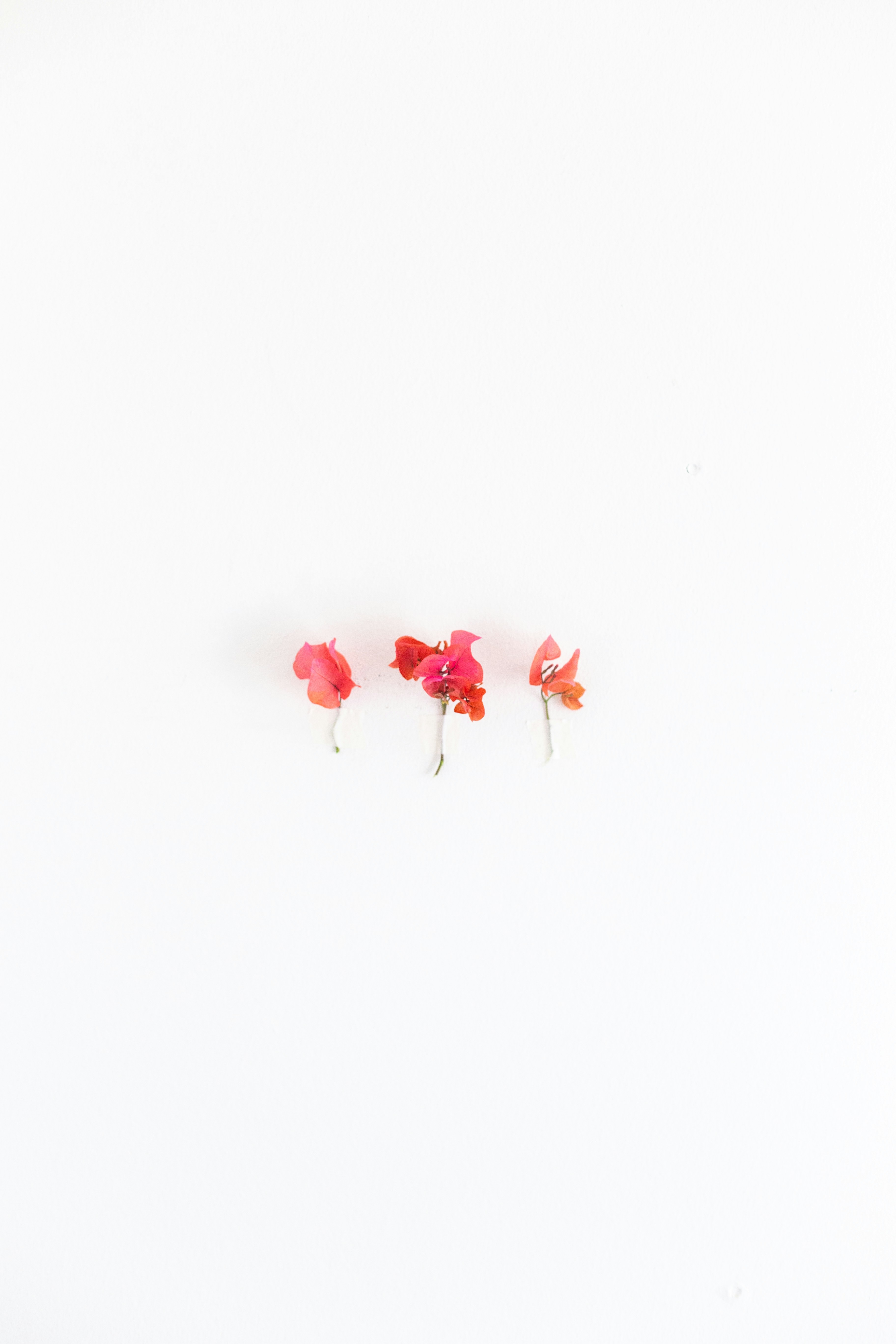 Photo by sincerelymedia