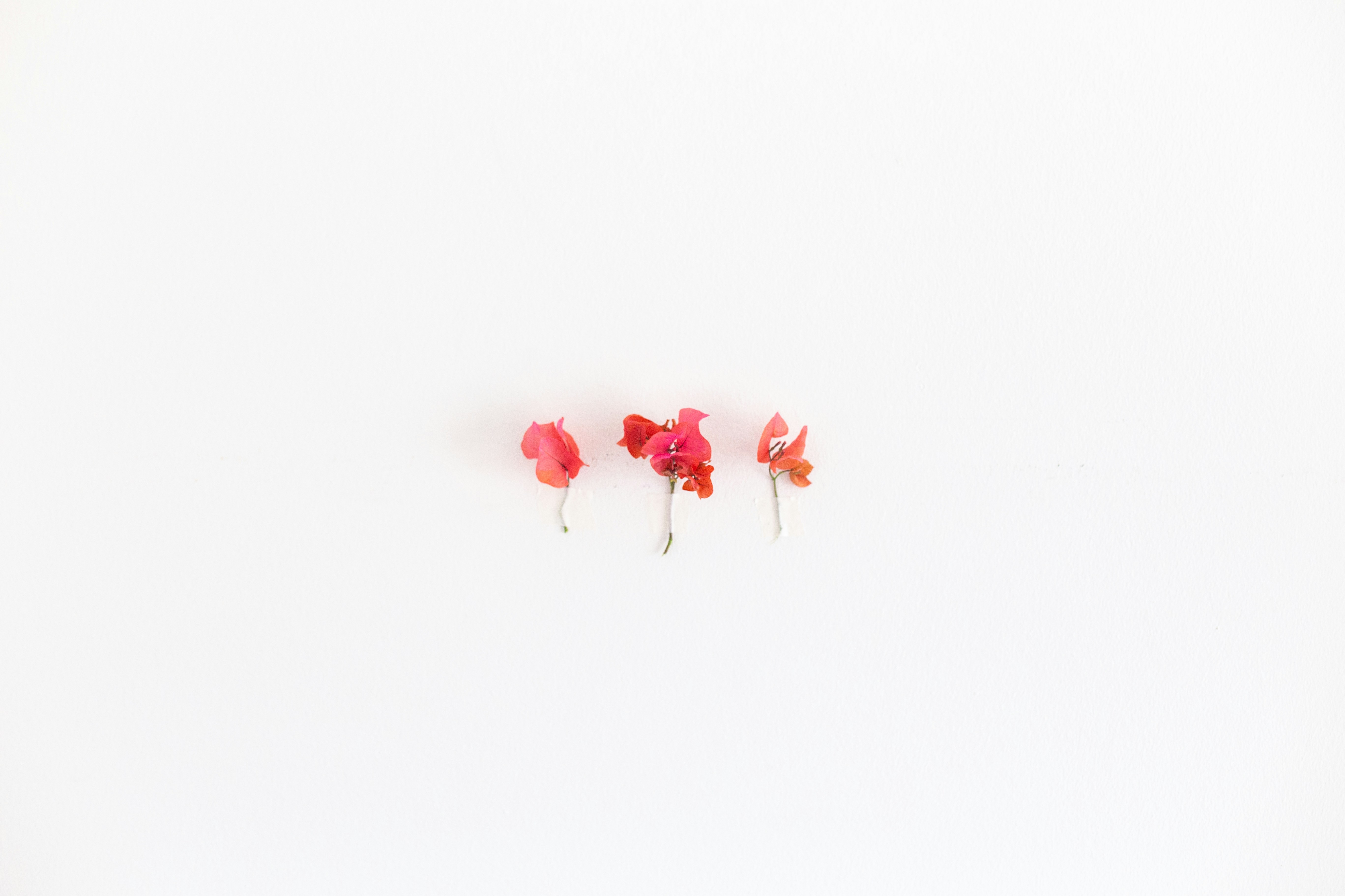 Photo by sincerelymedia