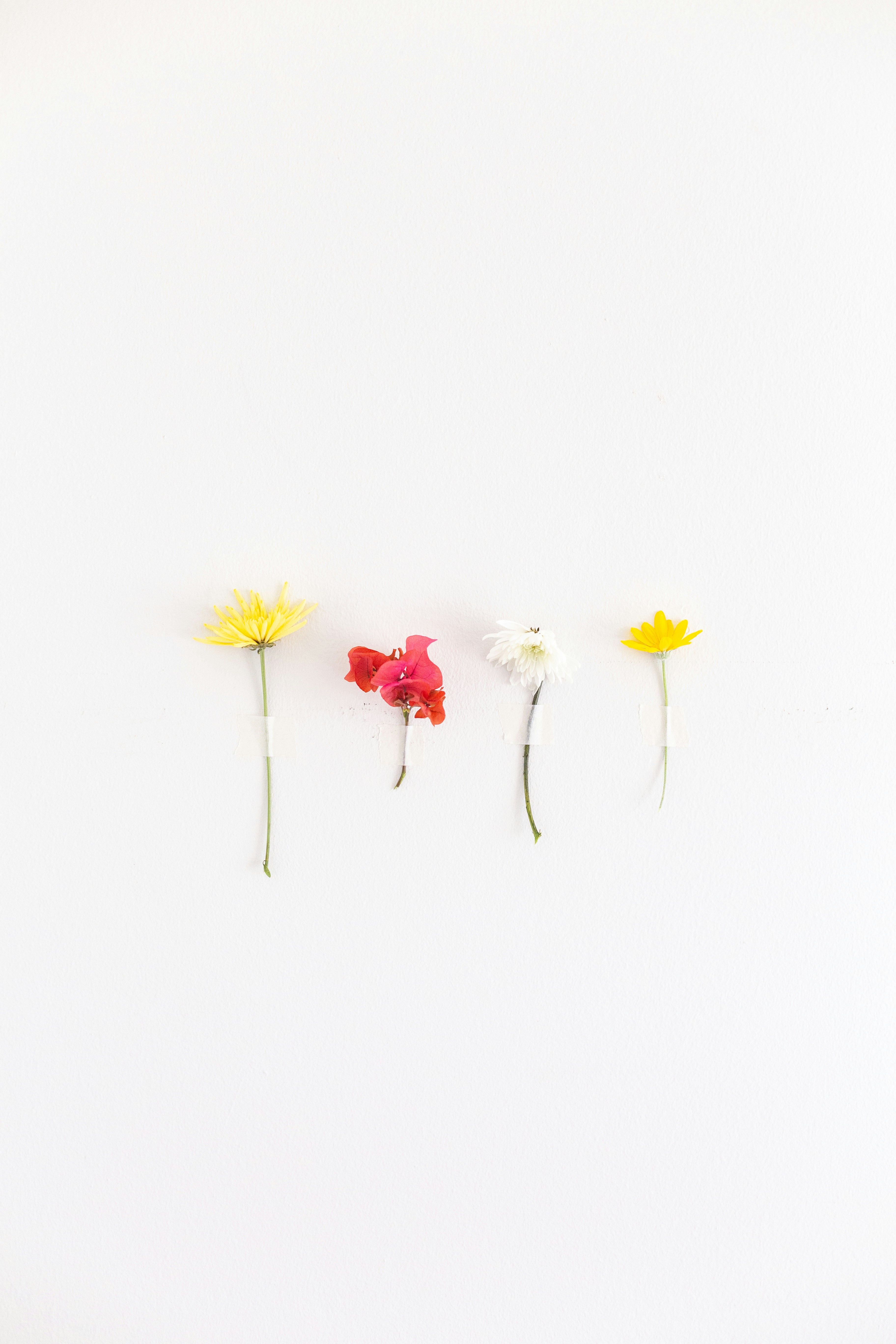 Photo by sincerelymedia