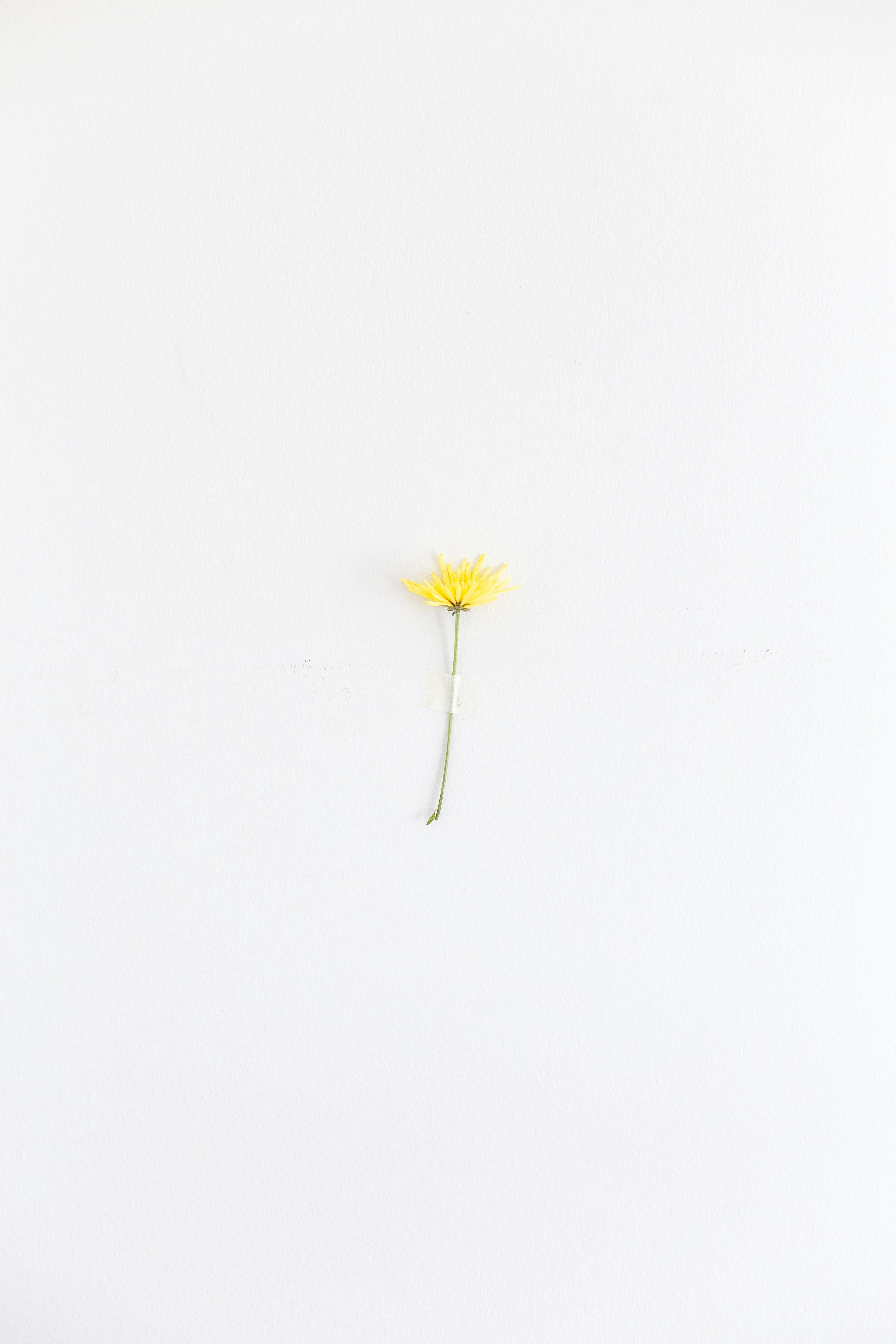 Photo by sincerelymedia