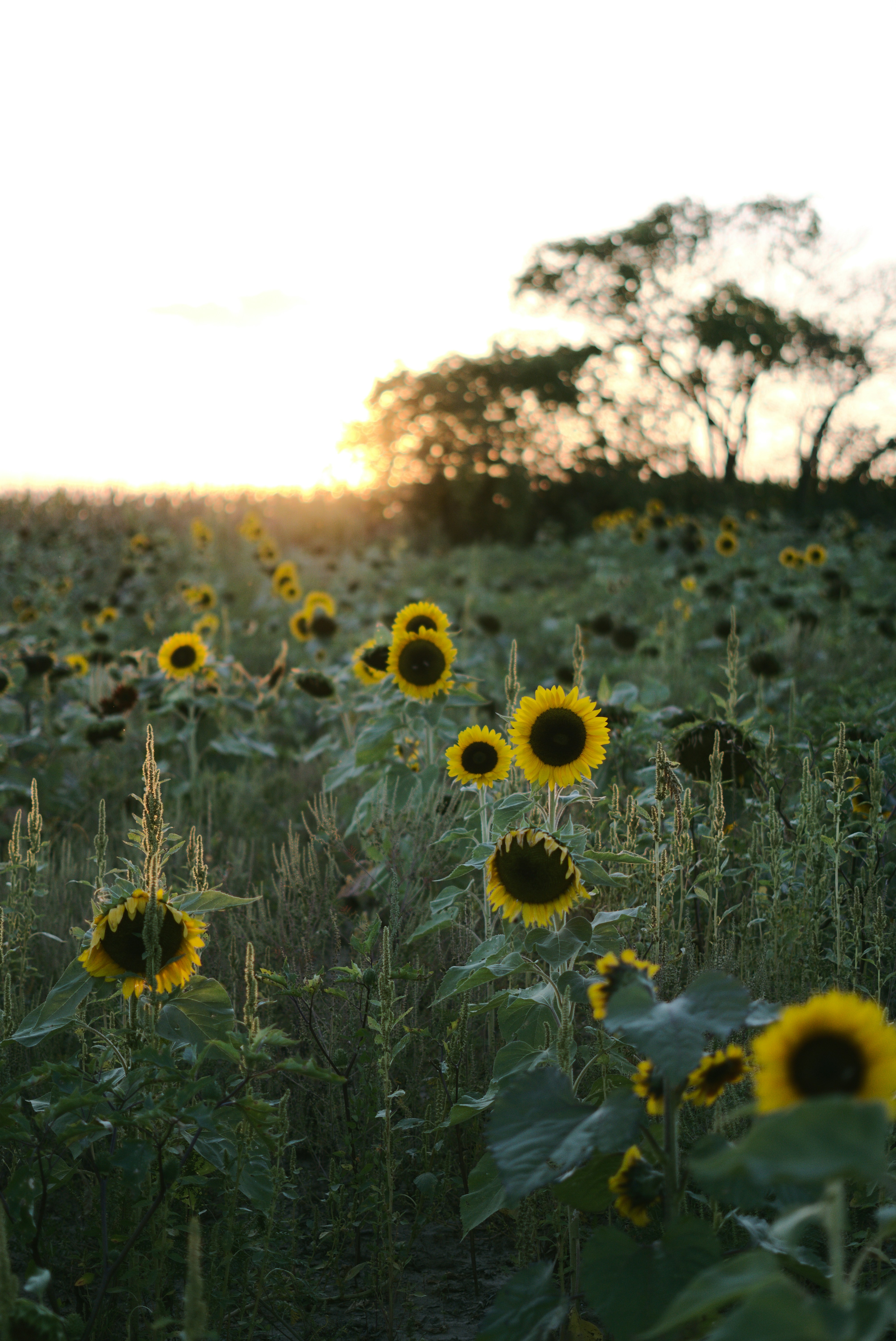 Photo by mrgreatheart