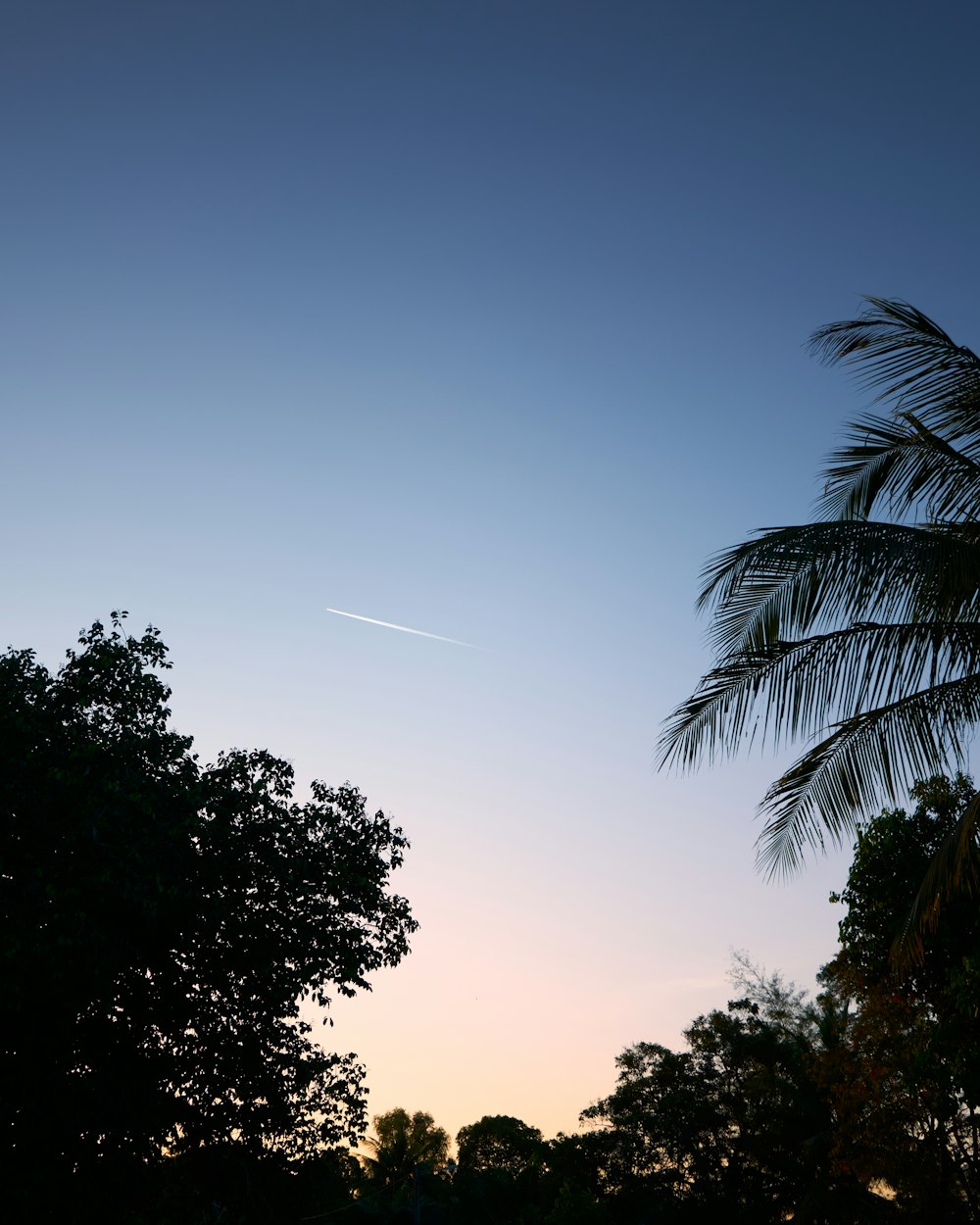 a plane is flying in the sky over trees