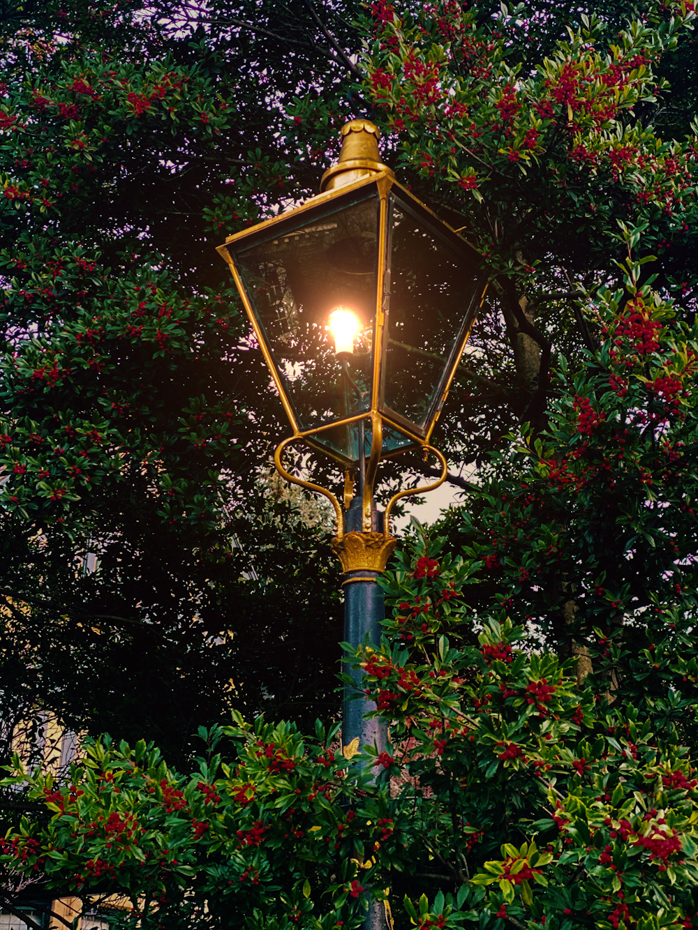 a street light surrounded by trees and flowers