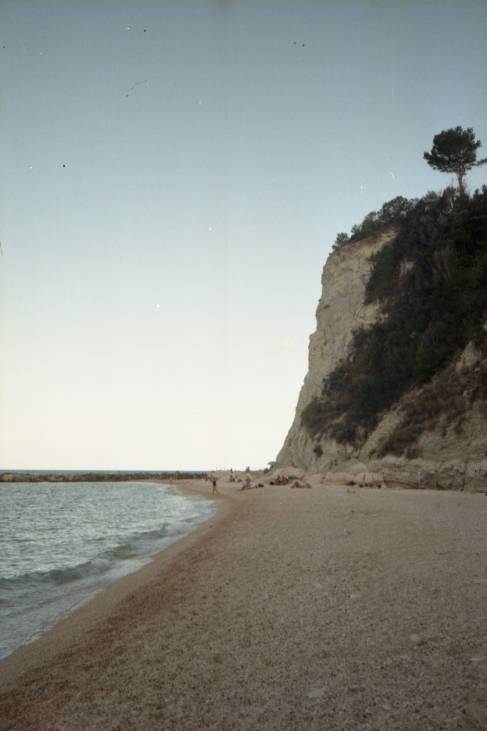 a sandy beach next to a cliff with a tree on top of it