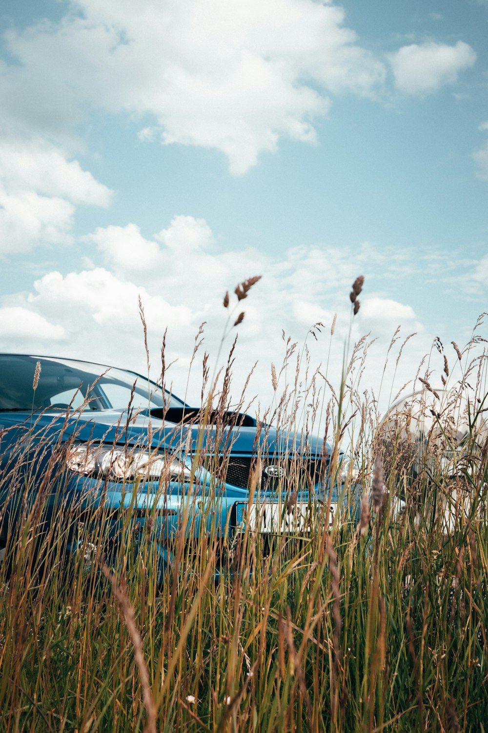 a blue car parked in a field of tall grass