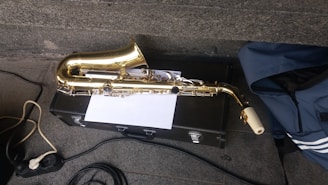 a saxophone sitting on top of a hard case